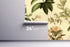 Nature Flourish Wallpaper #534